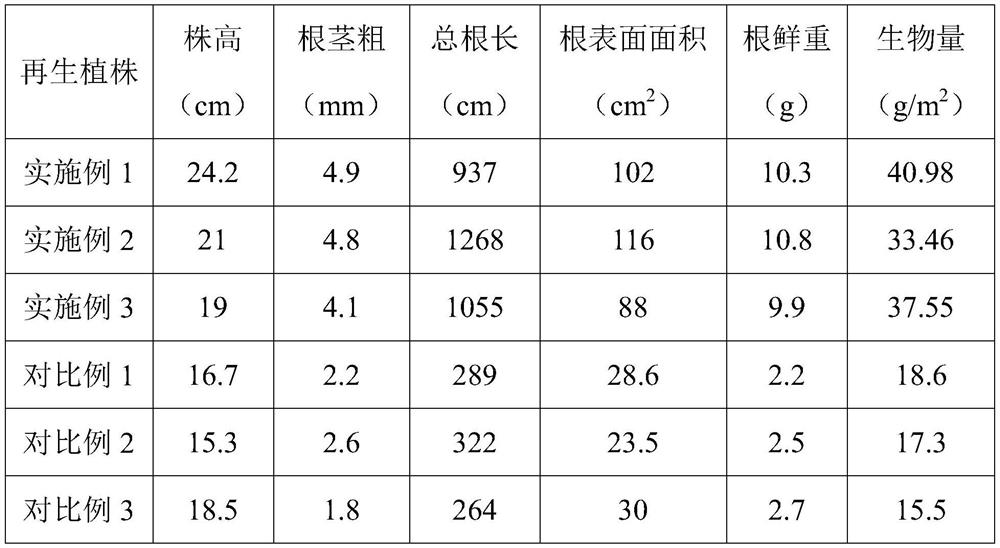 A kind of cultivation method of isolated microspore regeneration plant of rapeseed