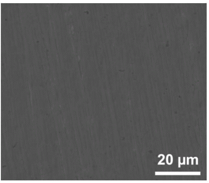 Nickel-titanium alloy containing biologically-active coating, and preparation method and application thereof