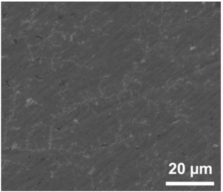 Nickel-titanium alloy containing biologically-active coating, and preparation method and application thereof