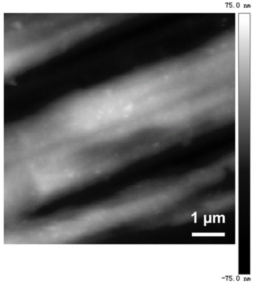 Nickel-titanium alloy containing biologically-active coating, and preparation method and application thereof