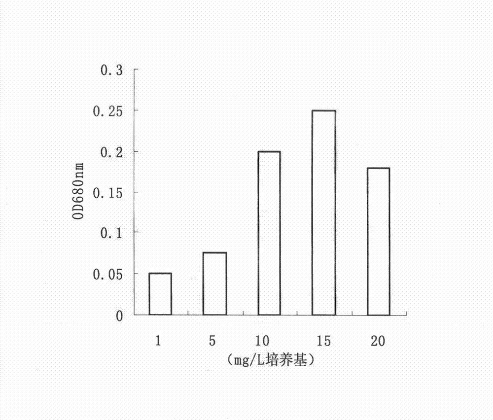 Method for separating and screening oligographic bacterium producing protease