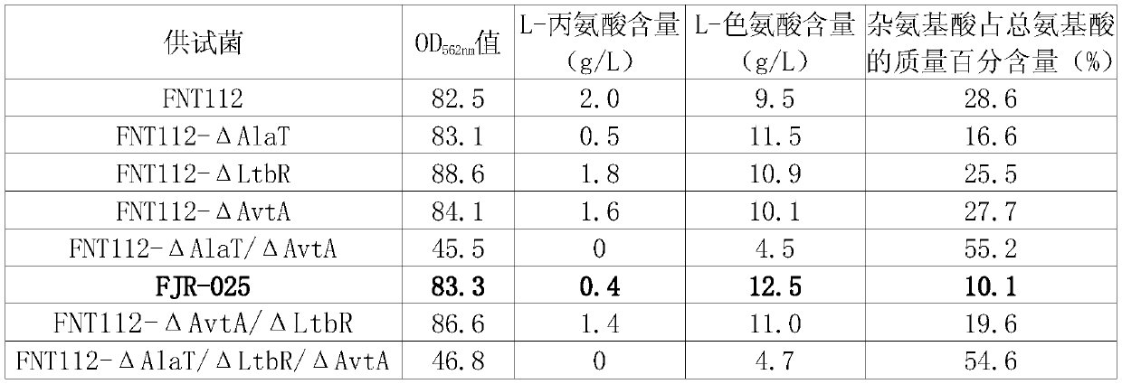 Corynebacterium glutamicum engineering bacterium and application thereof in preparation of L-tryptophan