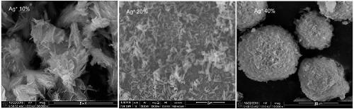 Preparation method of antibacterial silver-doped hydroxyapatite microspheres