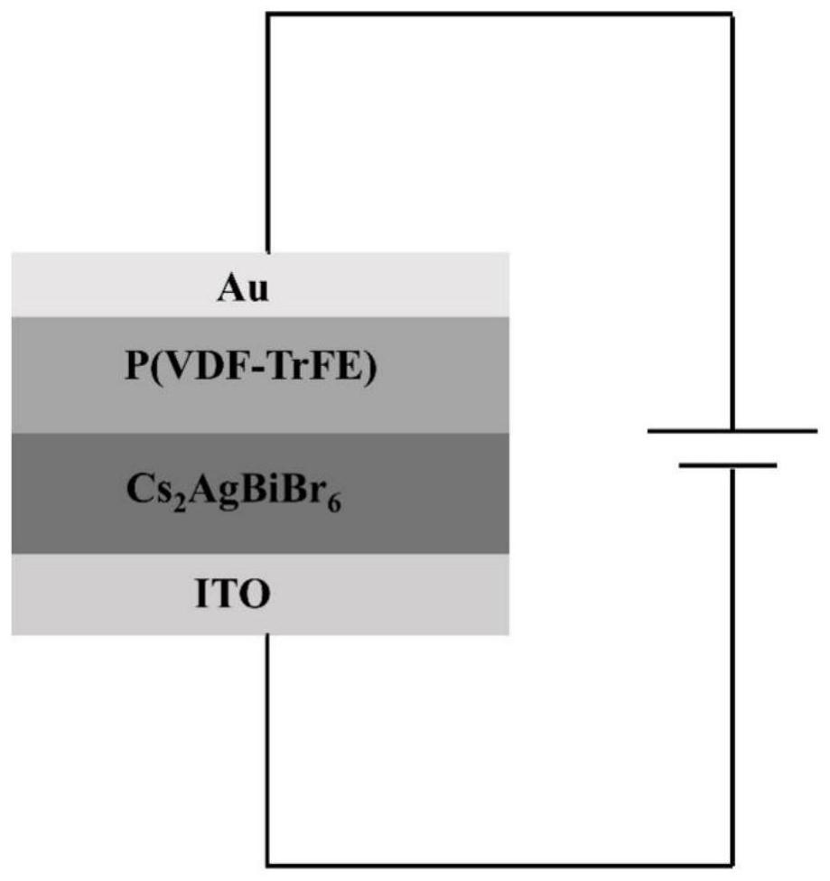 Ferroelectric-controlled two-end lead-free perovskite artificial photosynaptic device and preparation method thereof