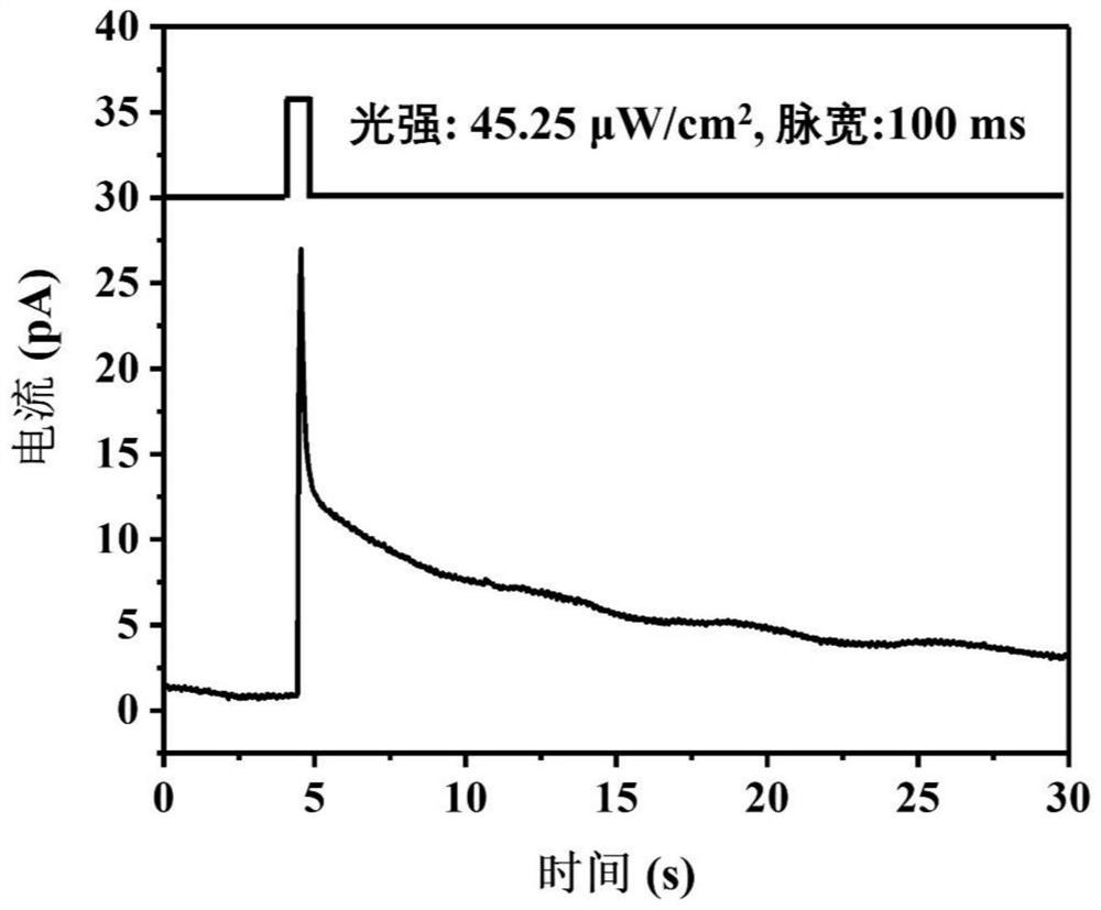 Ferroelectric-controlled two-end lead-free perovskite artificial photosynaptic device and preparation method thereof