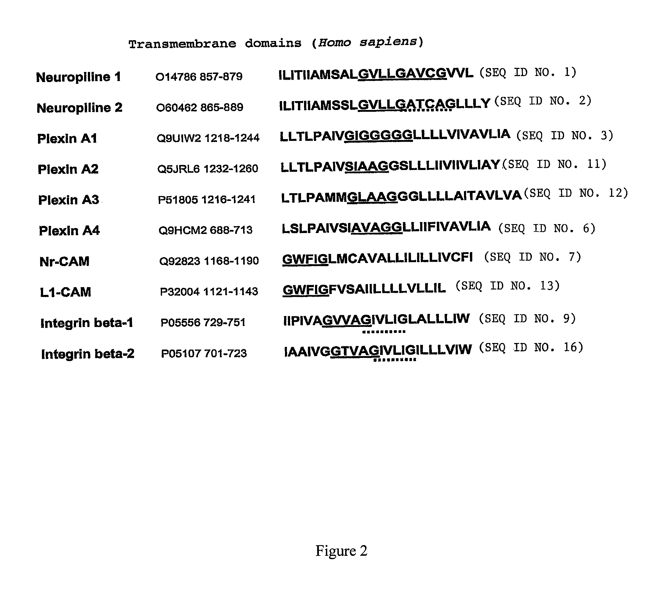 Peptidic antagonists of class III semaphorins/neuropilins complexes