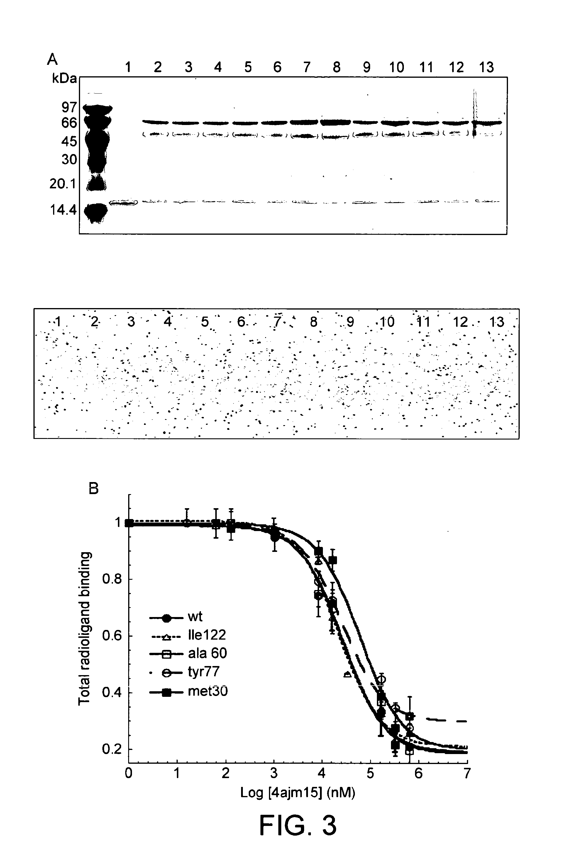 Compound and use thereof in the treatment of amyloidosis