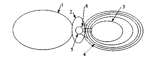 Flapping wing flying device with adjustable flapping wing