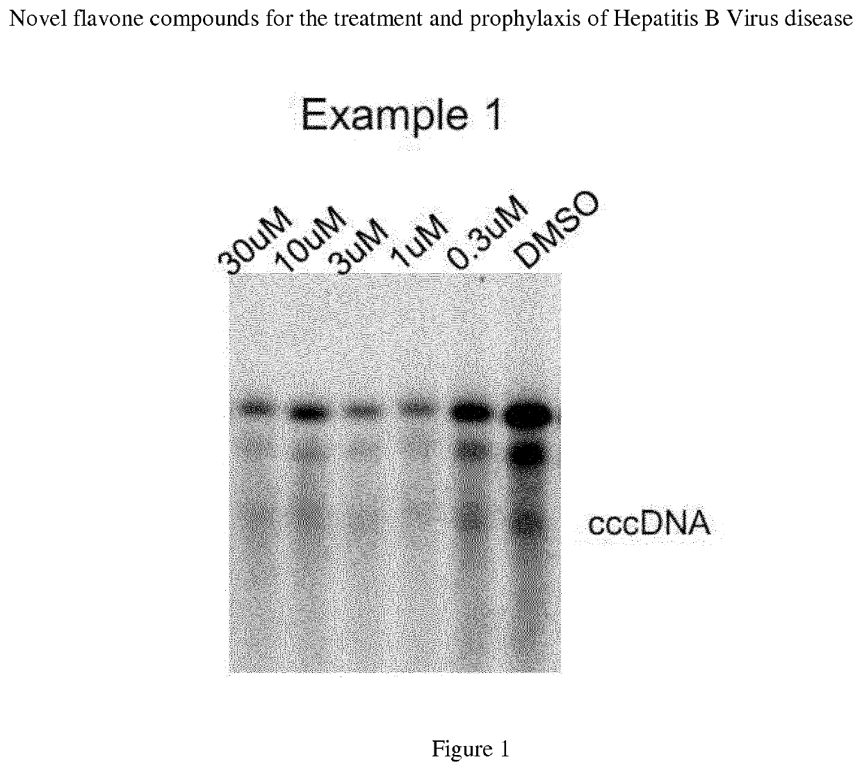 Flavone compounds for the treatment and prophylaxis of hepatitis b virus disease