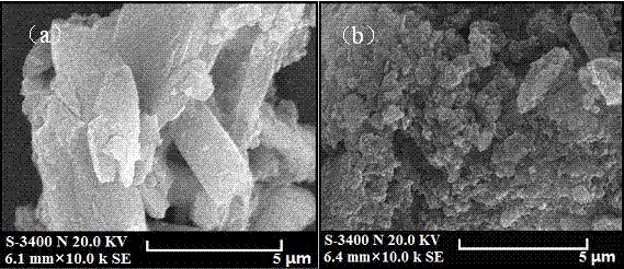 Preparation process and application of rosin-based quaternary ammonium salt positive ion surface active agent modified zeolite
