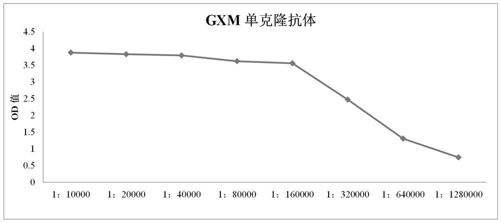 Rabbit-derived monoclonal antibody against Cryptococcus capsular polysaccharide and its application