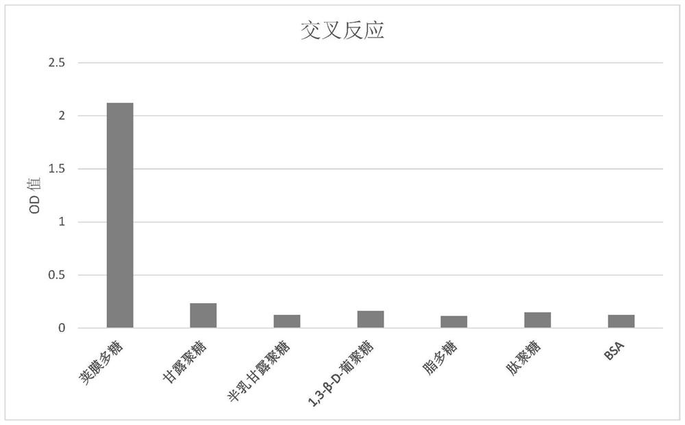 Rabbit-derived monoclonal antibody against Cryptococcus capsular polysaccharide and its application