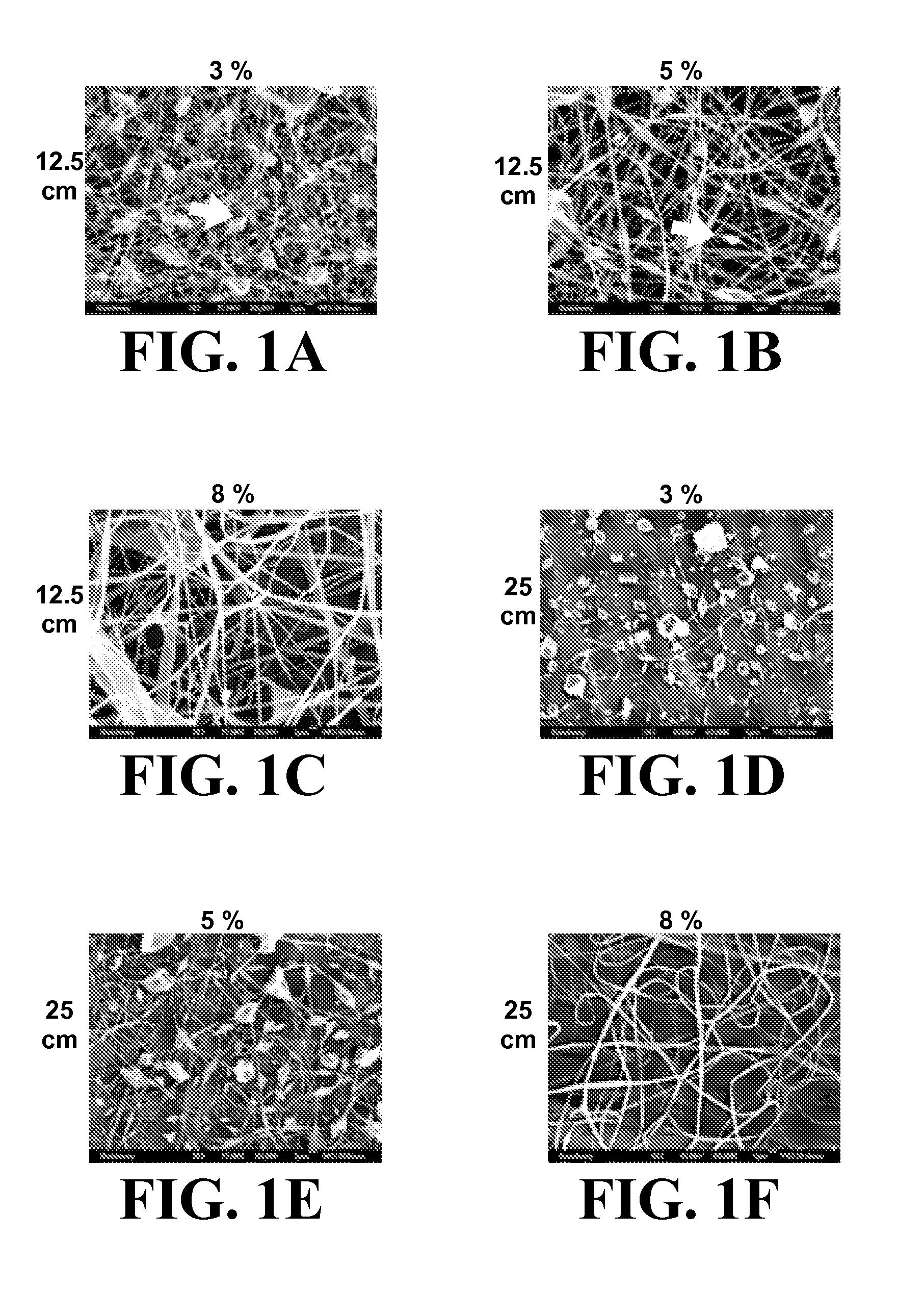 Compositions and Methods for Making and Using Laminin Nanofibers