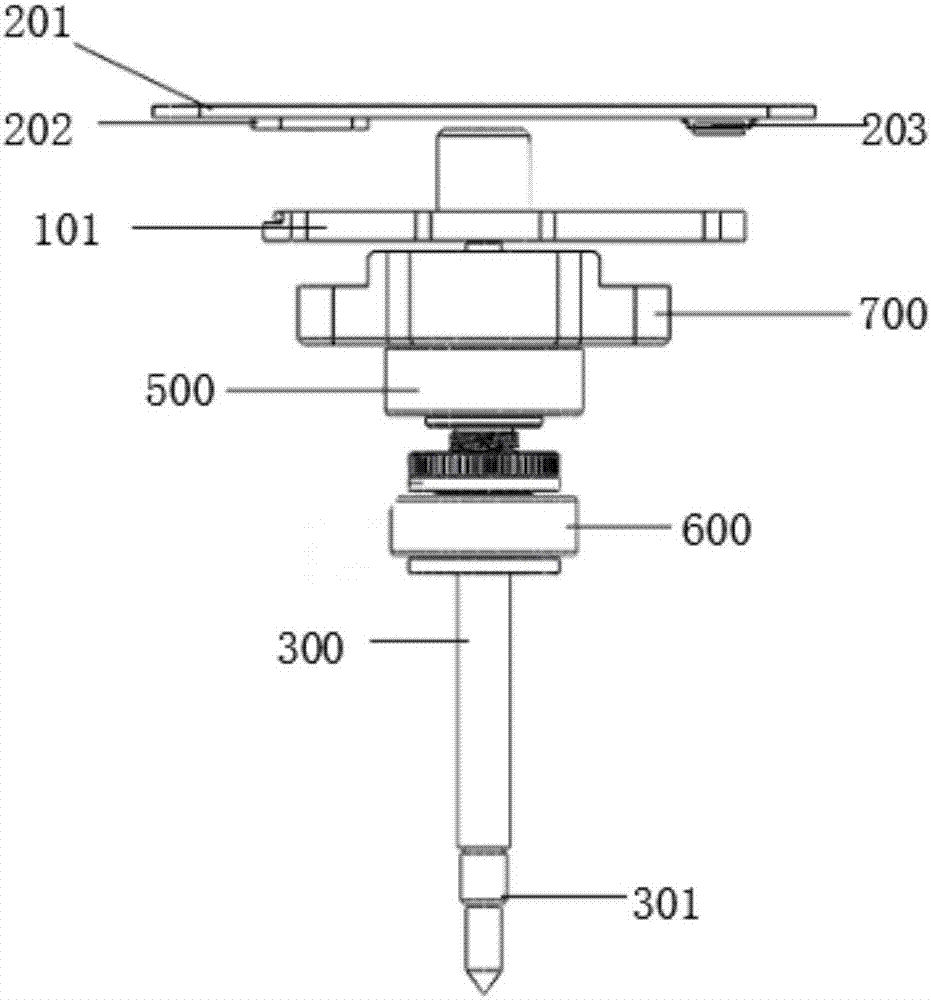Detection probe and blood sample detection device
