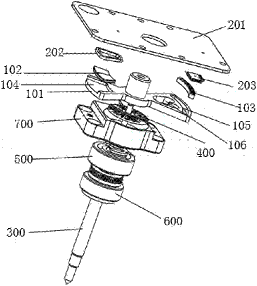 Detection probe and blood sample detection device