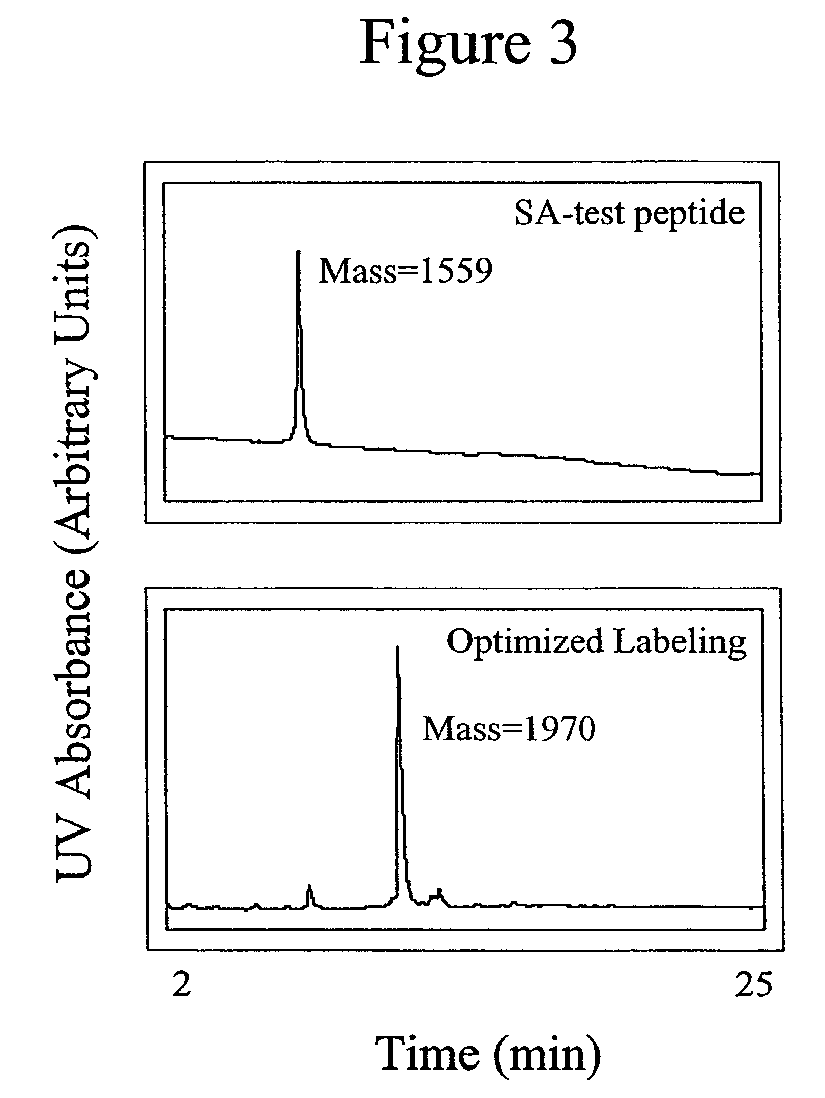 Labeled peptides, proteins and antibodies and processes and intermediates useful for their preparation