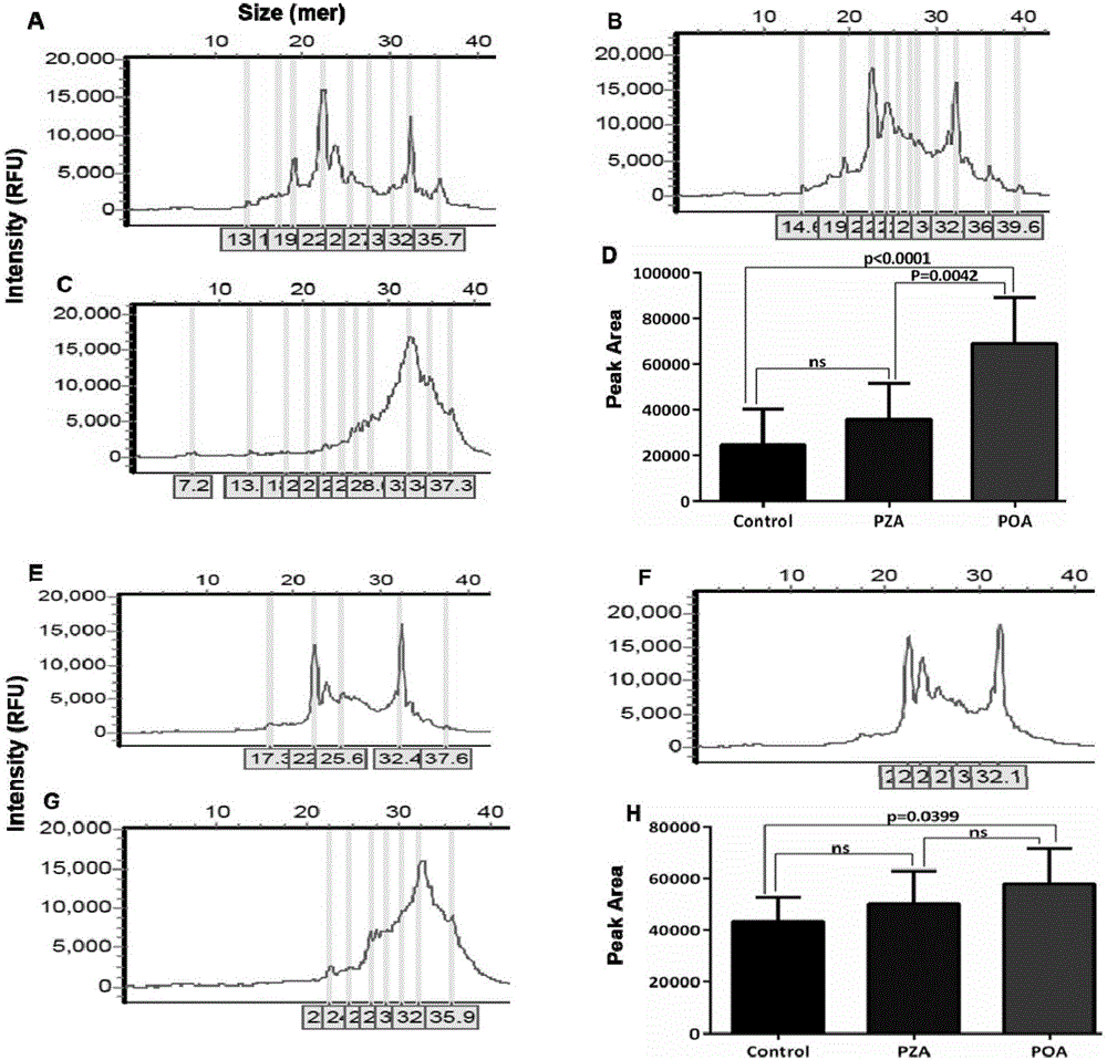 DNA marker for detecting drug resistance of mycobacterium tuberculosis and application of DNA marker
