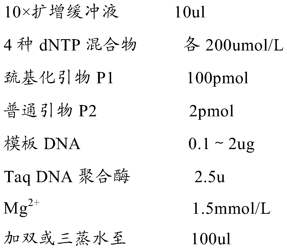 Method for labeling antibody with DNA