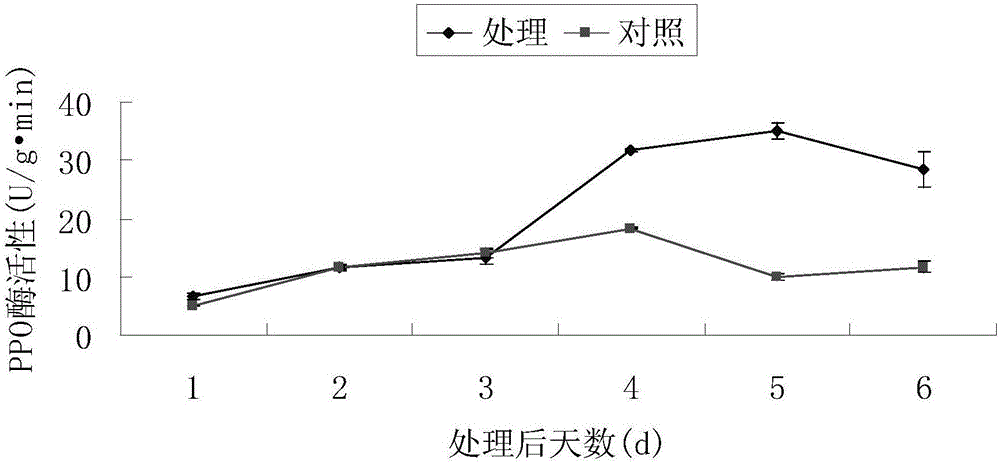 A kind of Bacillus amyloliquefaciens fs6 and its application