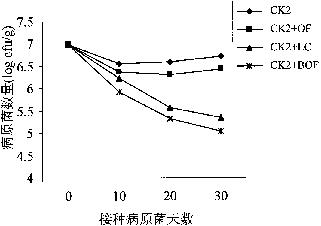 Antagonistic bacterium for controlling bacterial wilt of capsicum and microorganism organic fertilizer thereof