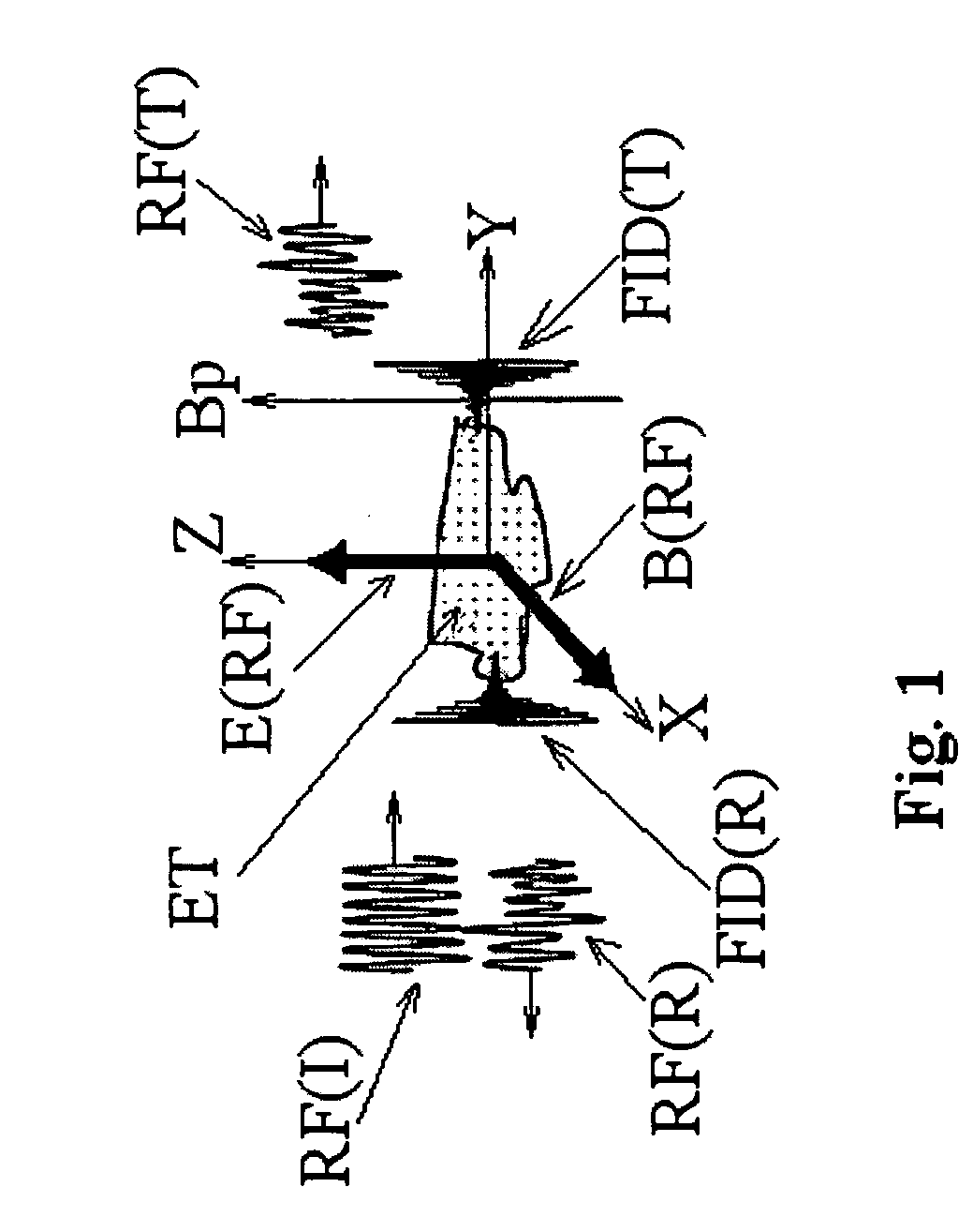 Method and apparatus for examining a substance, particularly tissue, to characterize its type