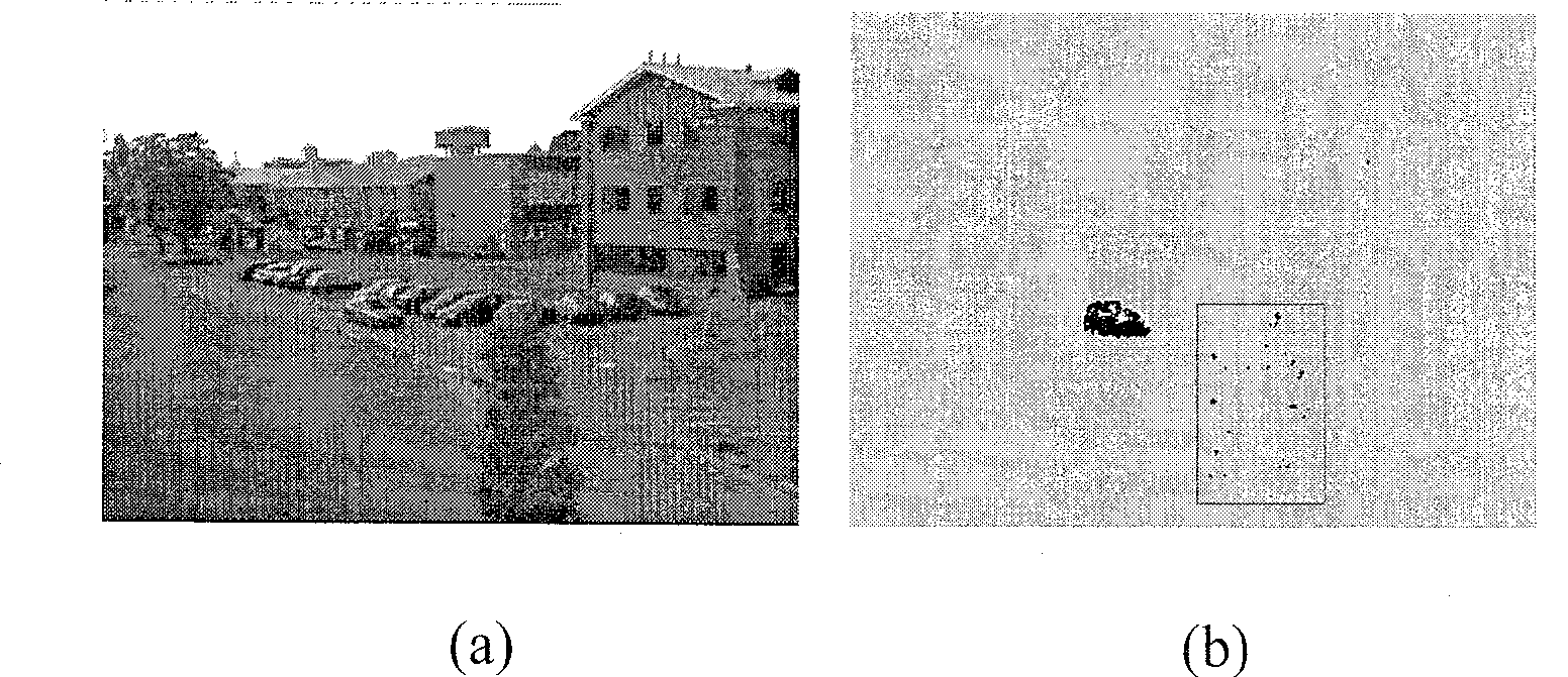 Real time movement detection method in use for video monitoring