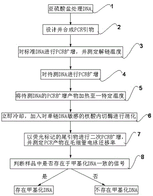 Methylated DNA Detection Method Based on Endonuclease Digestion