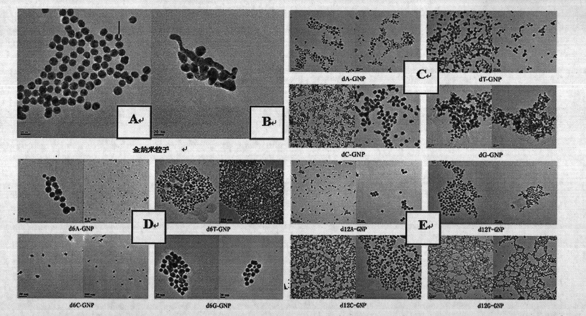Method for preparing functional gold nanoparticles with high stability