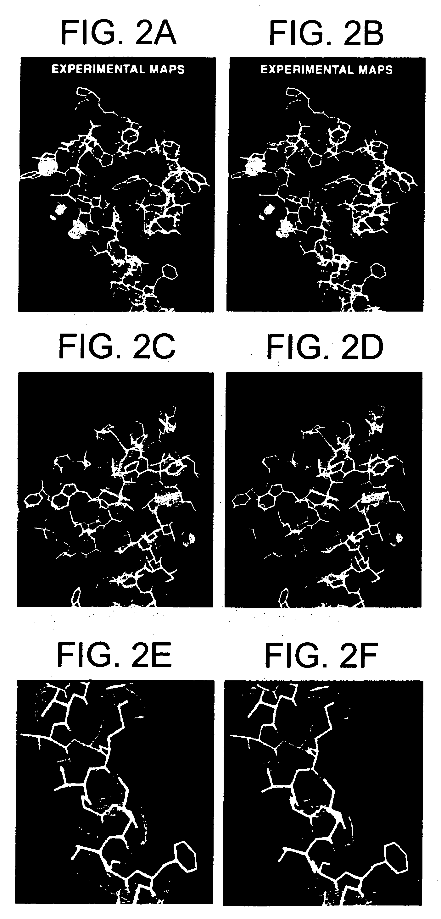 Assays for screening compounds which interact with cation channel proteins, mutant prokaryotic cation channel proteins, and uses thereof