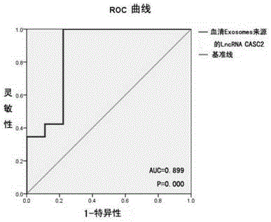 Application method of long-chain non-coding RNA CASC2 derived from serum exosomes