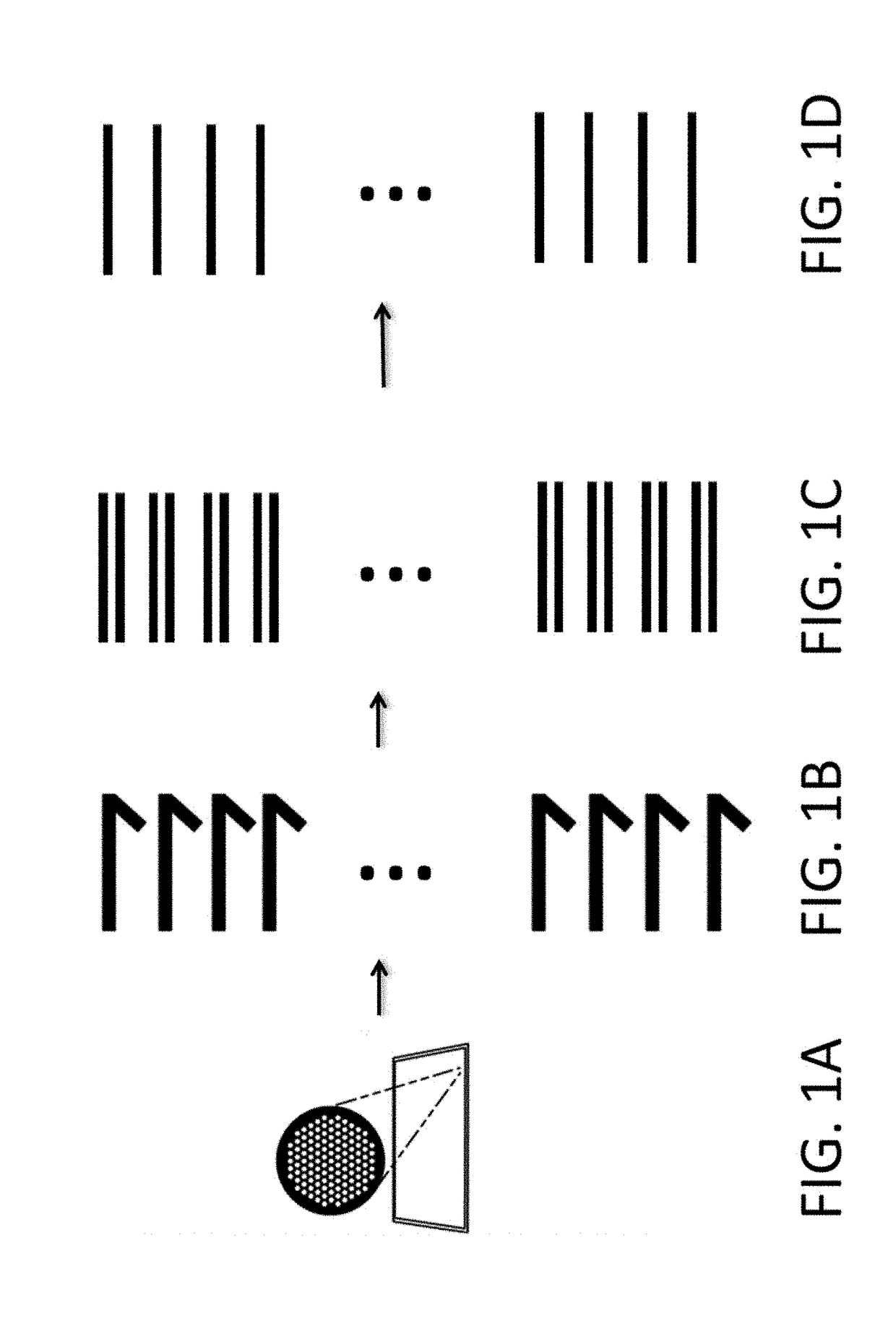Variant libraries of the immunological synapse and synthesis thereof