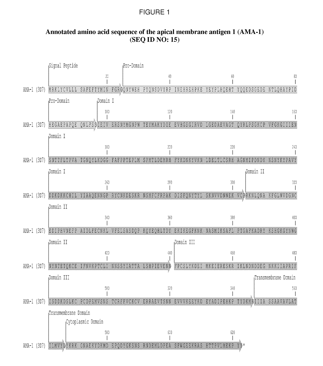 Anti-plasmodium parasite antibodies