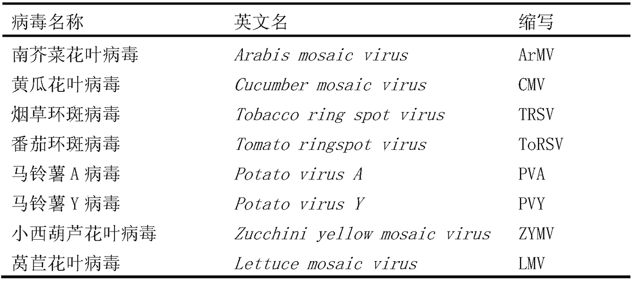 Complete set reagent for detecting lettuce mosaic virus