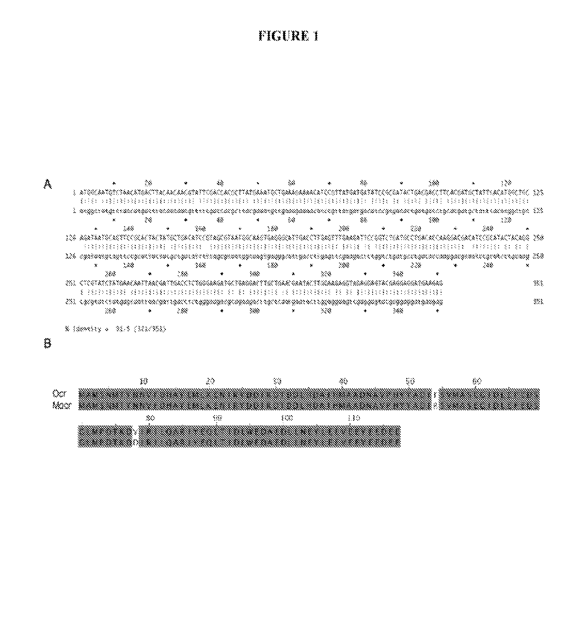 Protein purification tags and uses thereof