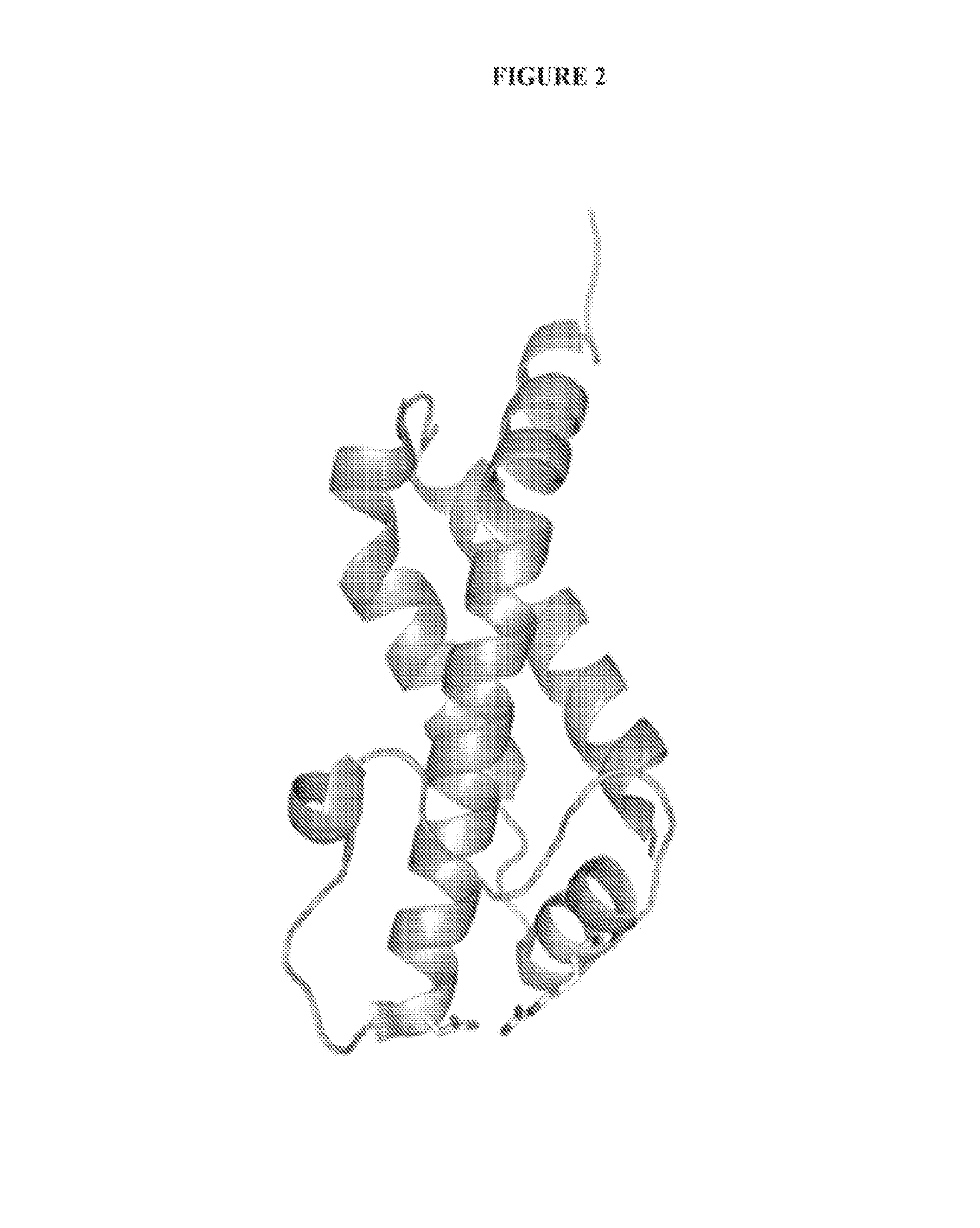 Protein purification tags and uses thereof