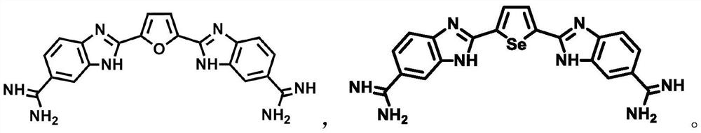 A kind of five-membered six-membered heterocyclic compound and its preparation method and use in treating tumor