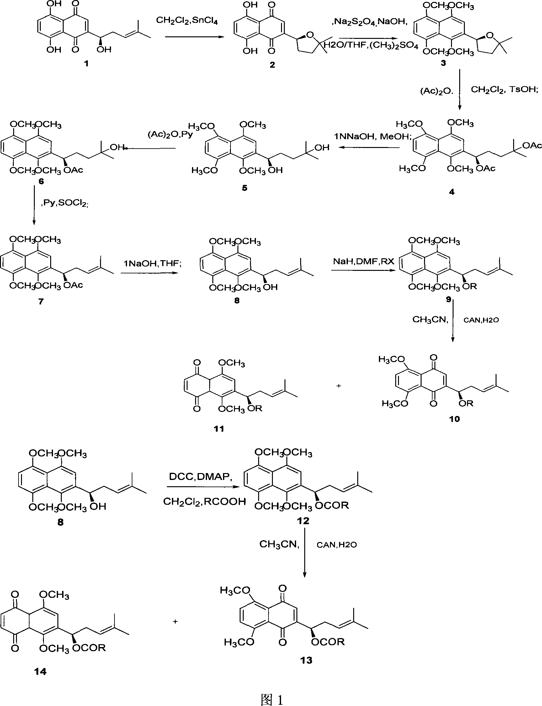 Method for synthesizing alkannin dimethyl ether derivative