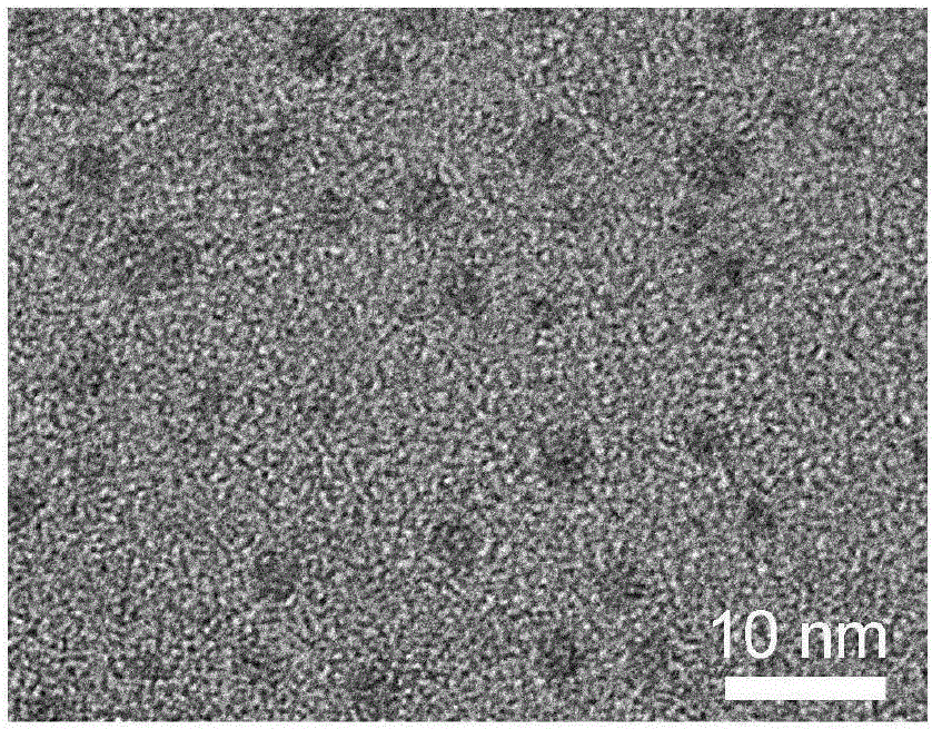 Method for preparing water-soluble fluorescence carbon dots and application of fluorescence carbon dots in resisting bacteria and distinguishing bacteria