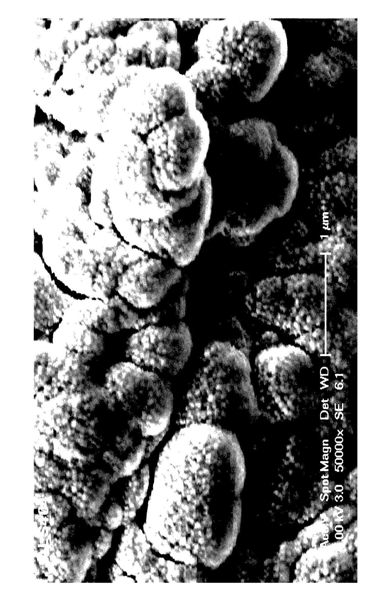 Structured surfactant suspending systems