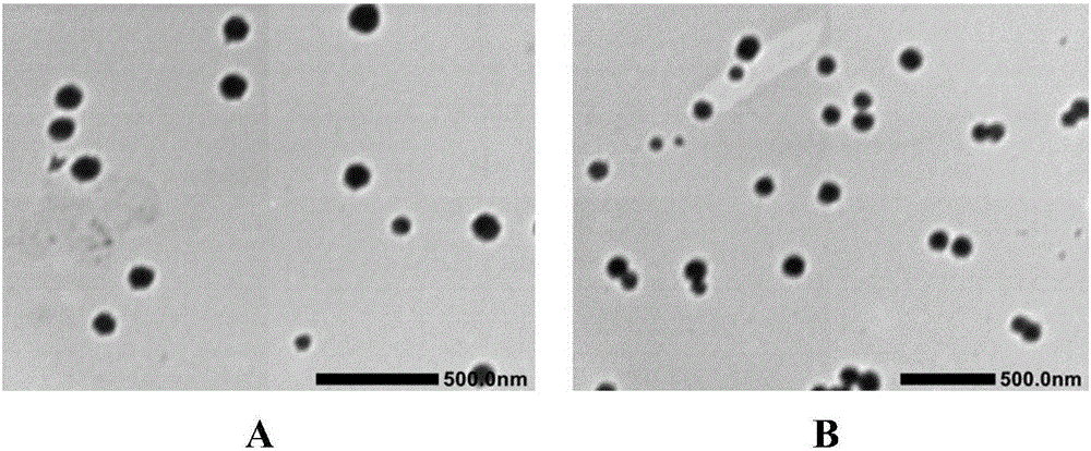 Nanoparticle containing EV71VP1 protein and preparation method of nanoparticle