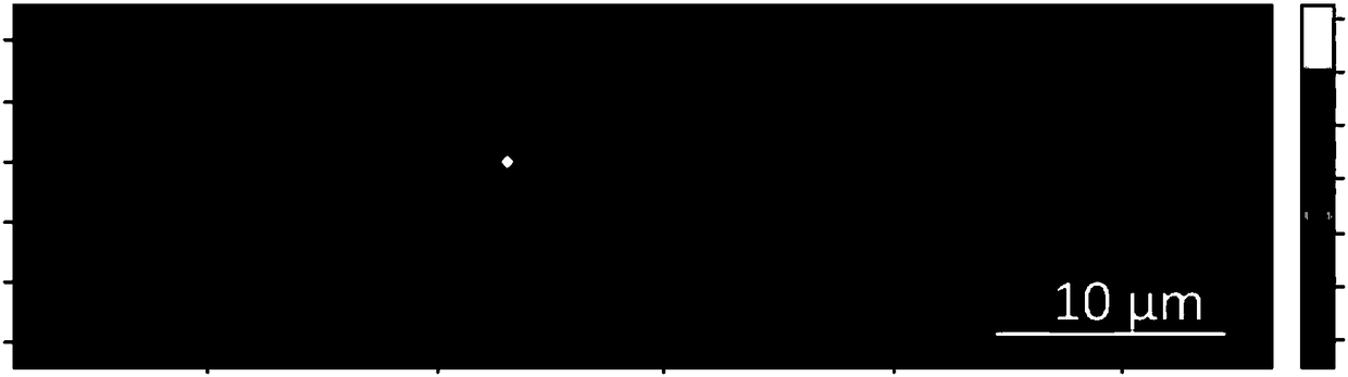 Application of gold nanoparticle modified carbon nanotube