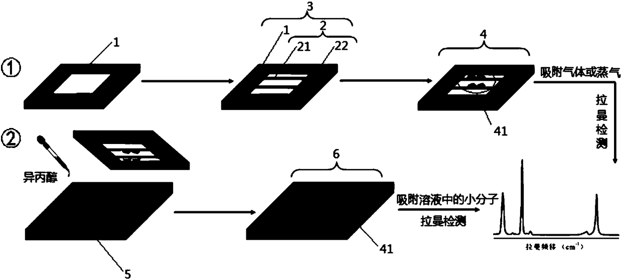 Application of gold nanoparticle modified carbon nanotube