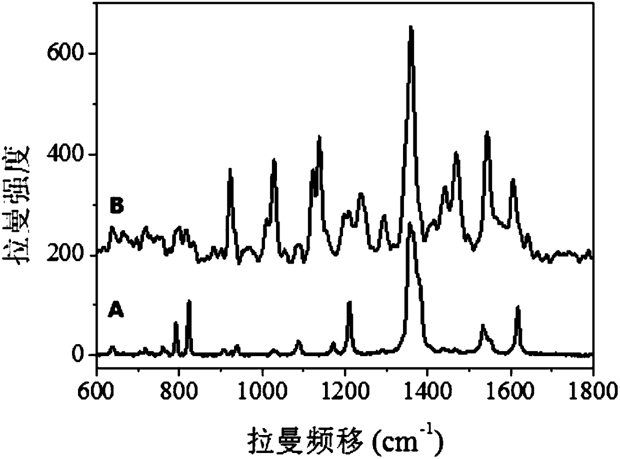 Application of gold nanoparticle modified carbon nanotube