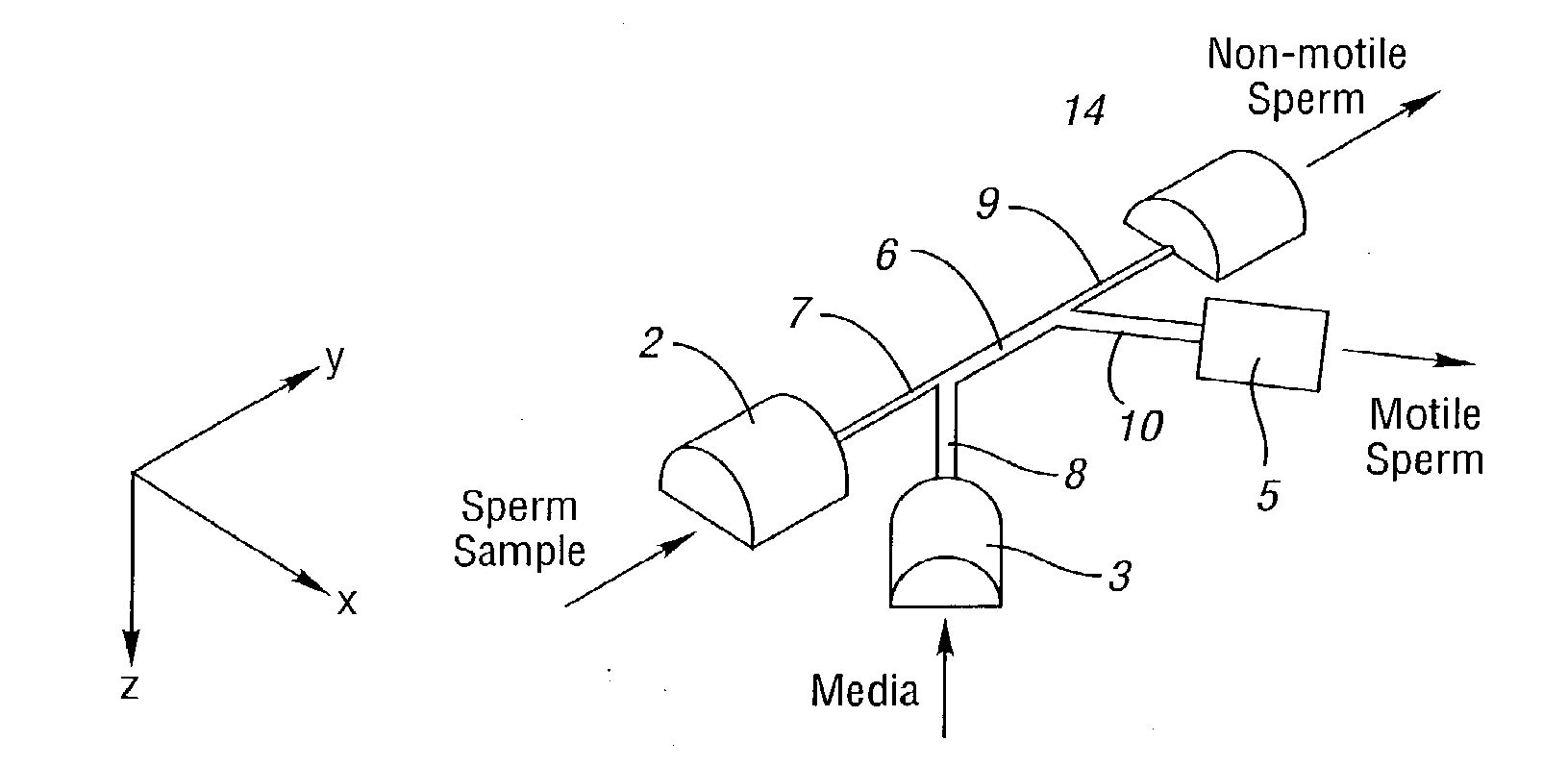 Process For Sorting Motile Particles From Lesser-Motile Particles And Apparatus Suitable Therefor