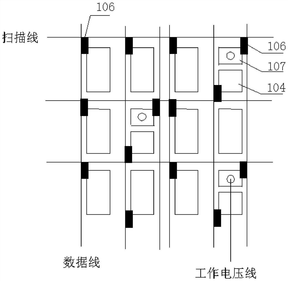 A module supporting full-screen fingerprint recognition, a terminal device, and a fingerprint recognition method