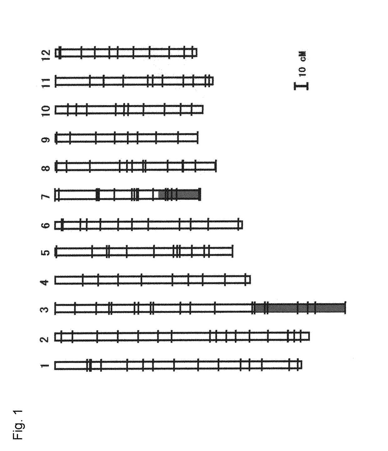 Nucleic acid imparting high-yielding property to plant, method for producing transgenic plant with increased yield, and method for increasing plant yield