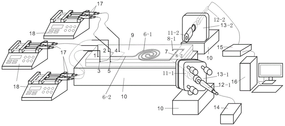 Microfluidic liquid-liquid extraction-liquid-liquid waveguide integrated detection system and detection method