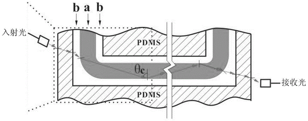 Microfluidic liquid-liquid extraction-liquid-liquid waveguide integrated detection system and detection method