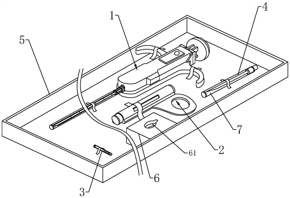 A device for swine visceral tissue biopsy and nucleic acid extraction