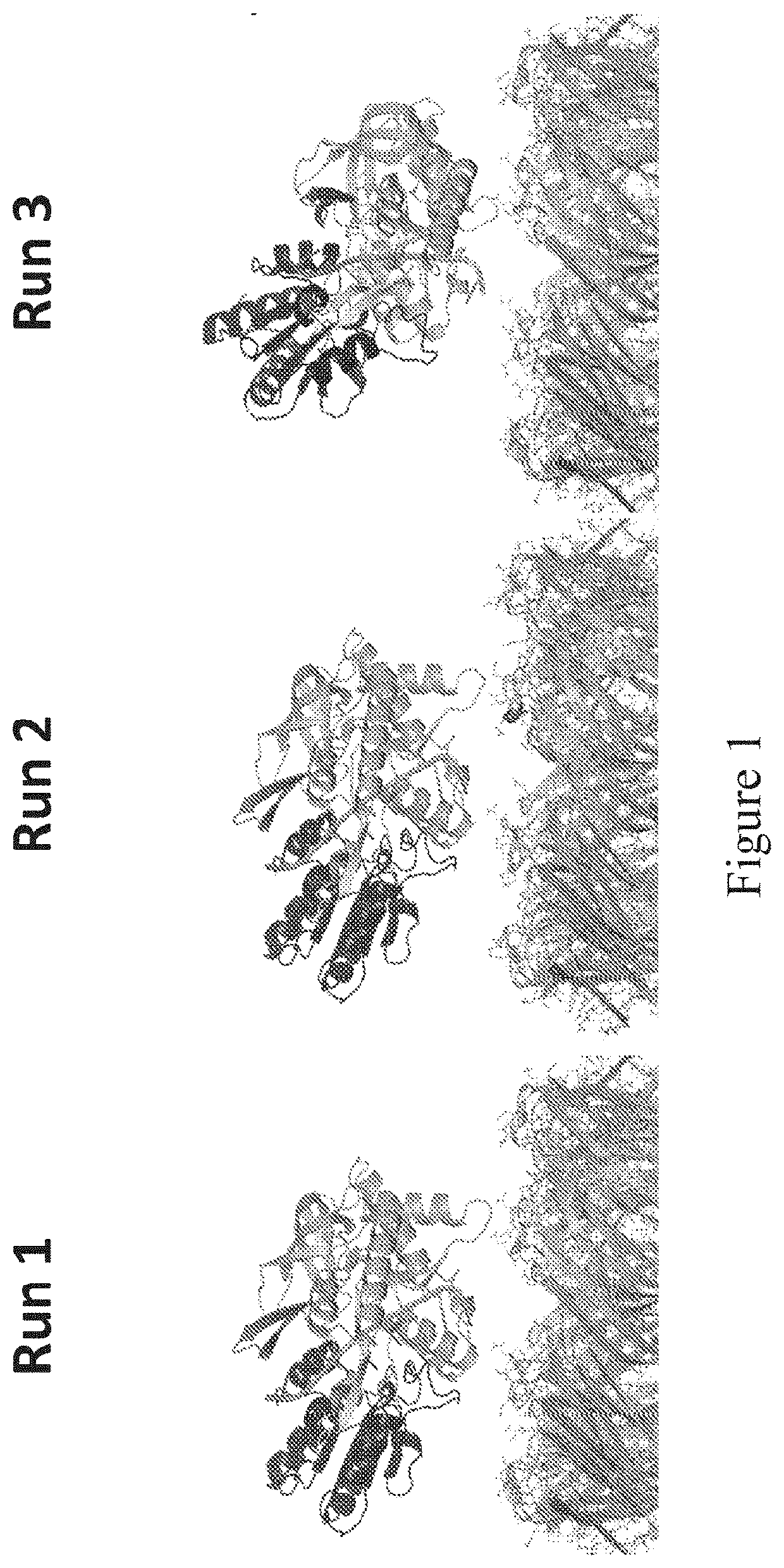 Modified enzymes